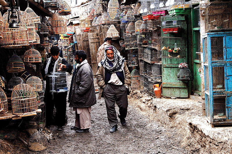 Silk Road Journey: Kabul, Bamiyan, Balkh, and Herat